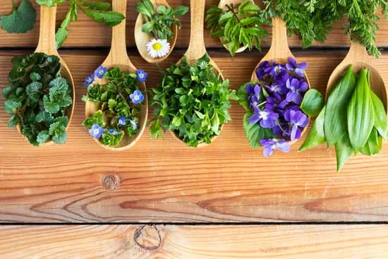 پاکسازی پوست با گیاهان دارویی