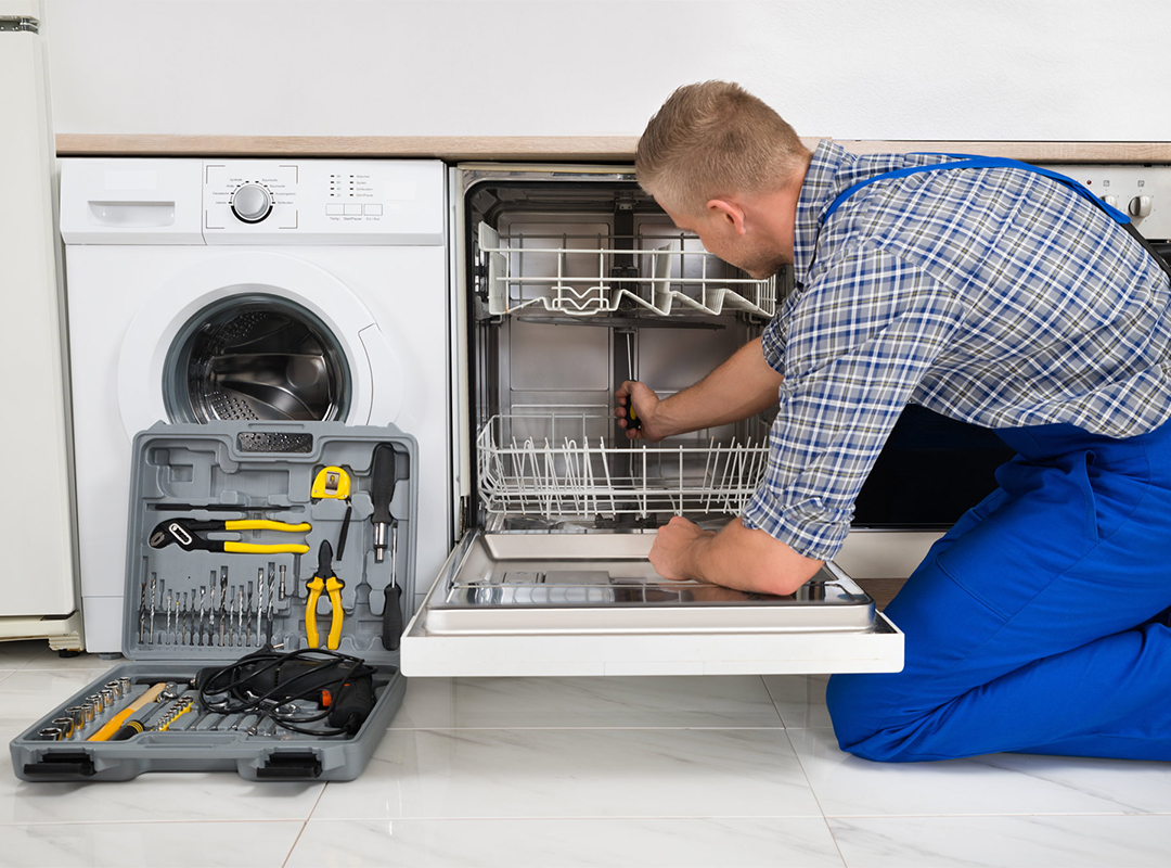 How important is the skill of an expert in repairing a dishwasher