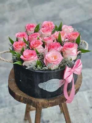 رز هلندی