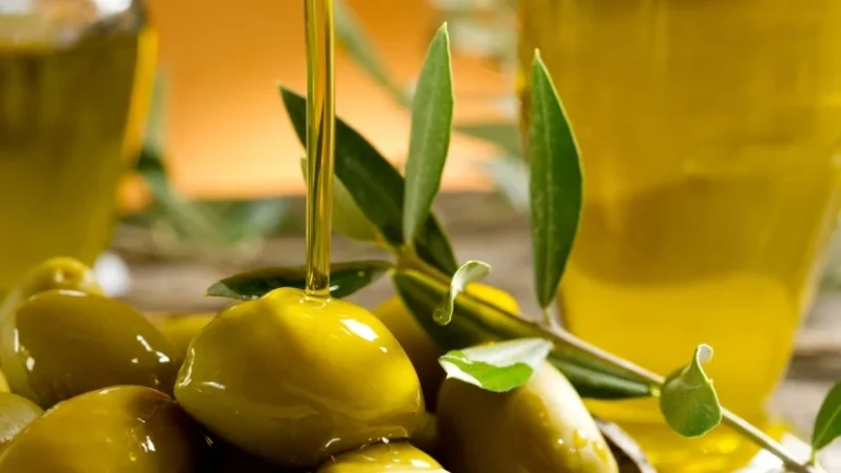 روغن زیتون و افزایش وزن: آیا چربی سالم هم می  تواند مضر باشد؟